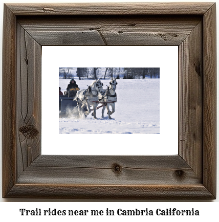 trail rides near me in Cambria, California